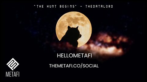 "THE HUNT BEGINS" - THEDATALORD (METAFI OST)