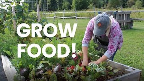 Growing Our Own Food | Food Security