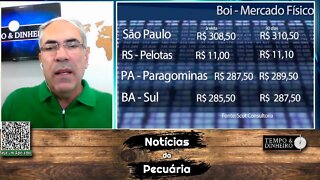 Boi gordo tem escalas ajustadas e arroba estável em SP