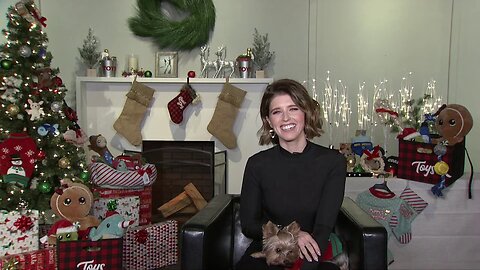 Katherine Schwarzenegger Pratt interview with Darren Paltrowitz