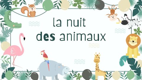 la nuit des animaux