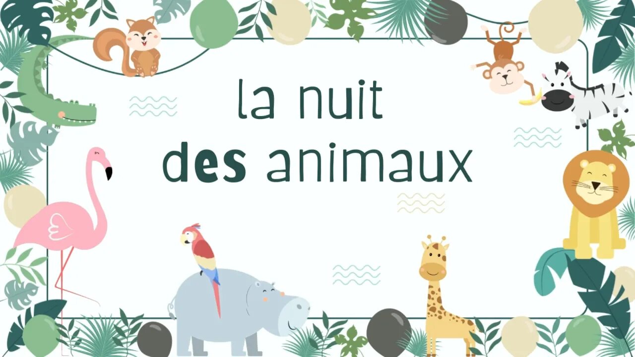 la nuit des animaux