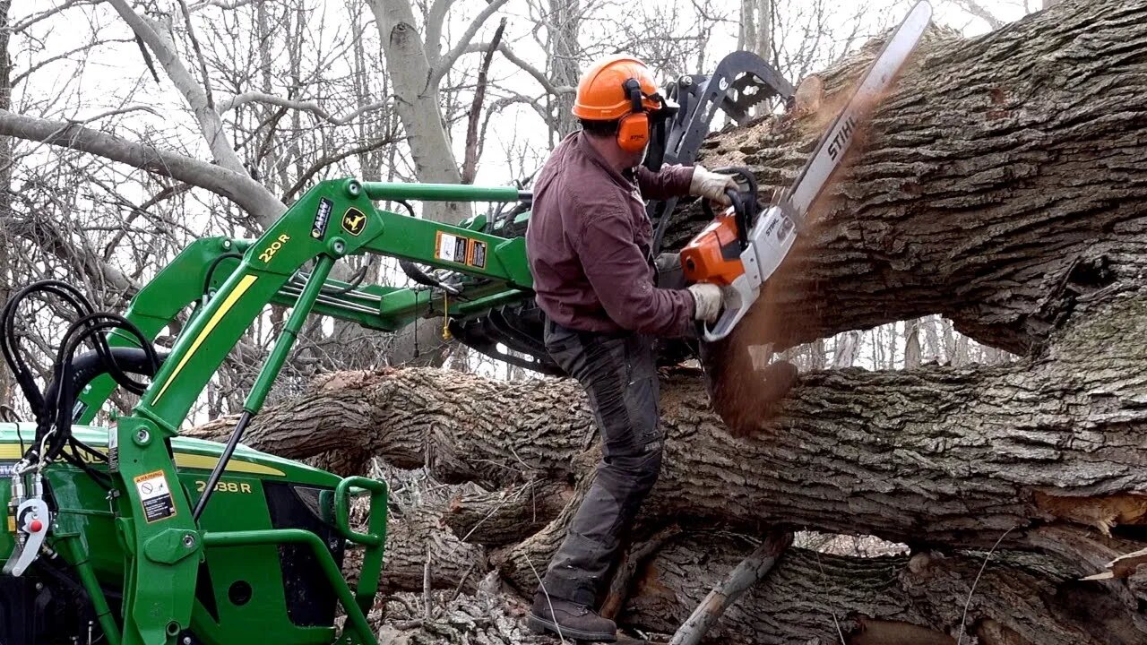 MASSIVE TREE! MASSIVE SAW! Tractor Grapple Shines!