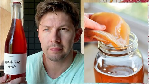 I drank KOMBUCHA... Did It Fix My Gut Microbiome?