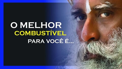 QUAL O MELHOR COMBUSTÍVEL PARA NOSSO CORPO, SADHGURU DUBLADO, MOTIVAÇÃO MESTRE