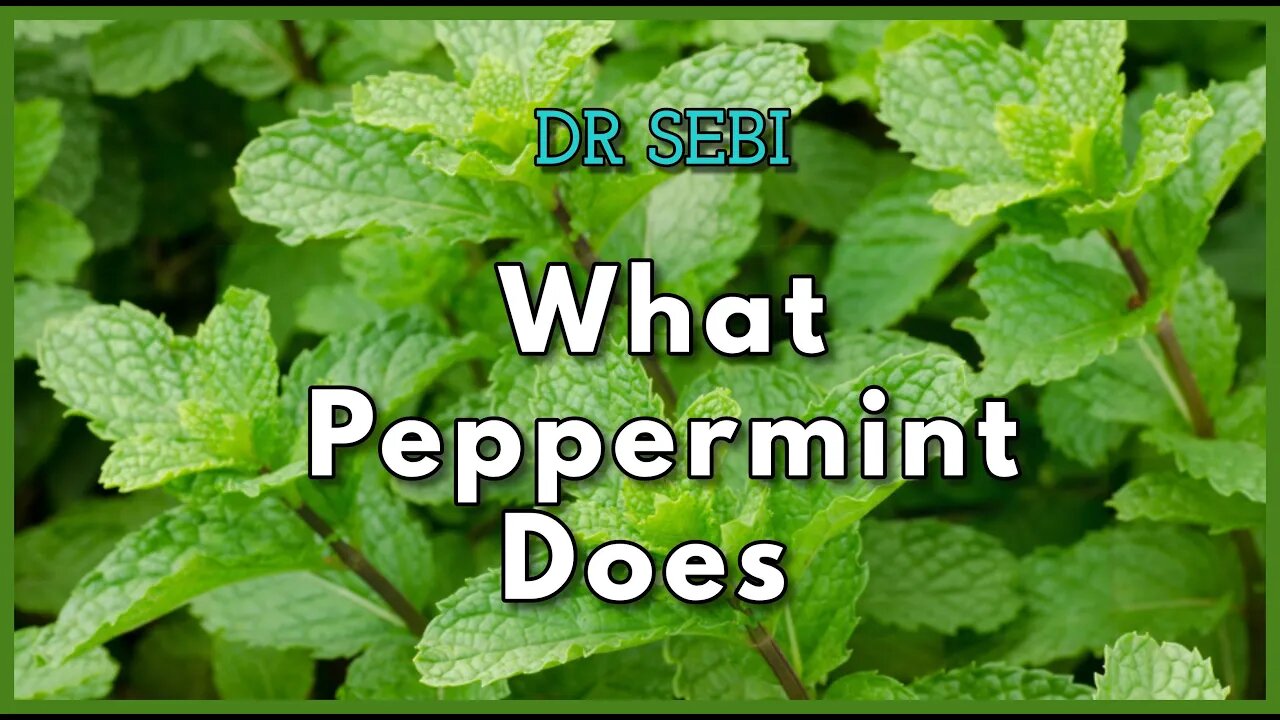 DR SEBI - WHAT PEPPERMINT DOES