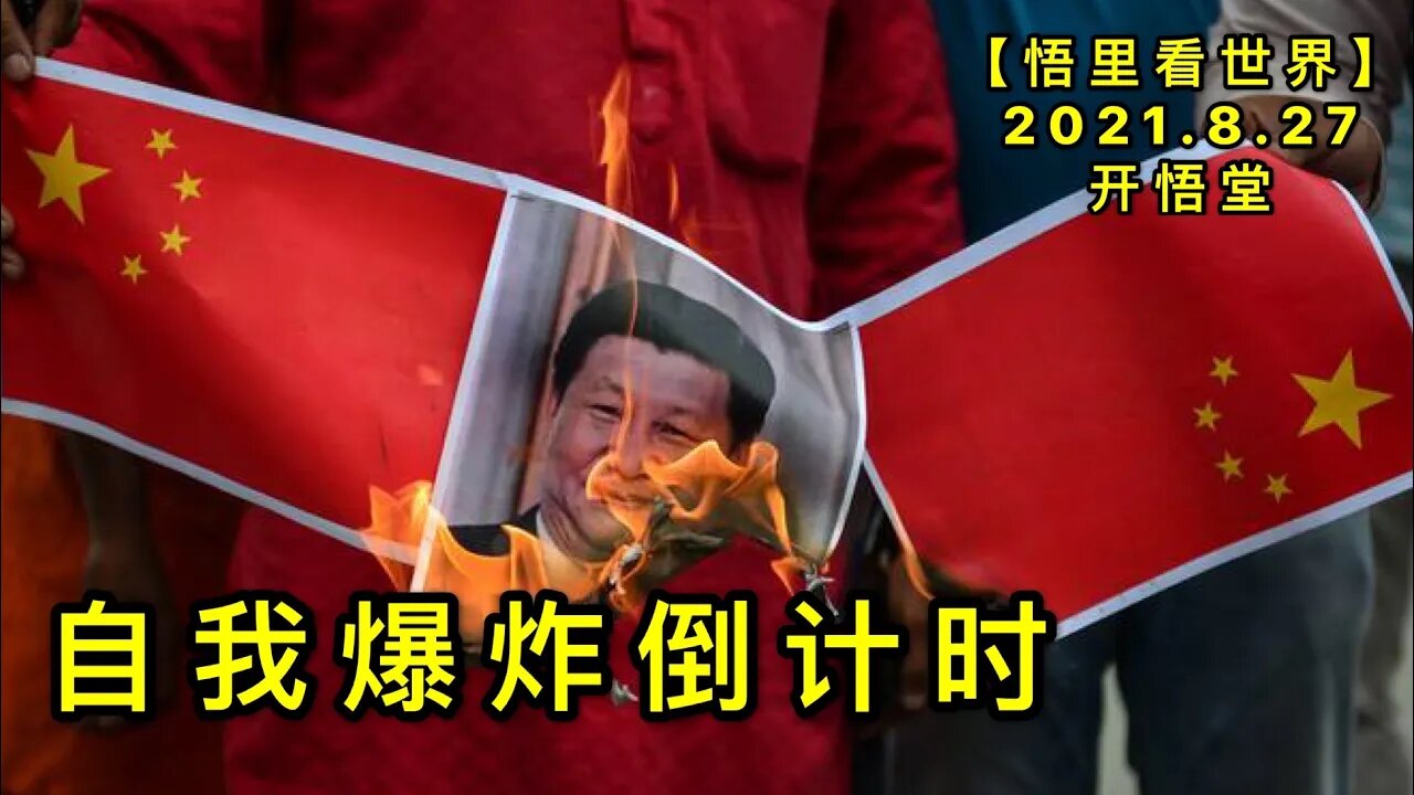 【直】KWT2360直播: 自我爆炸倒计时20210827-1【悟里看世界】