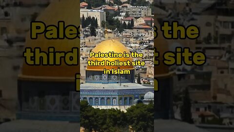 Why muslim love the land of palestine #youtubeshorts #islamicvideo #palestine #israel