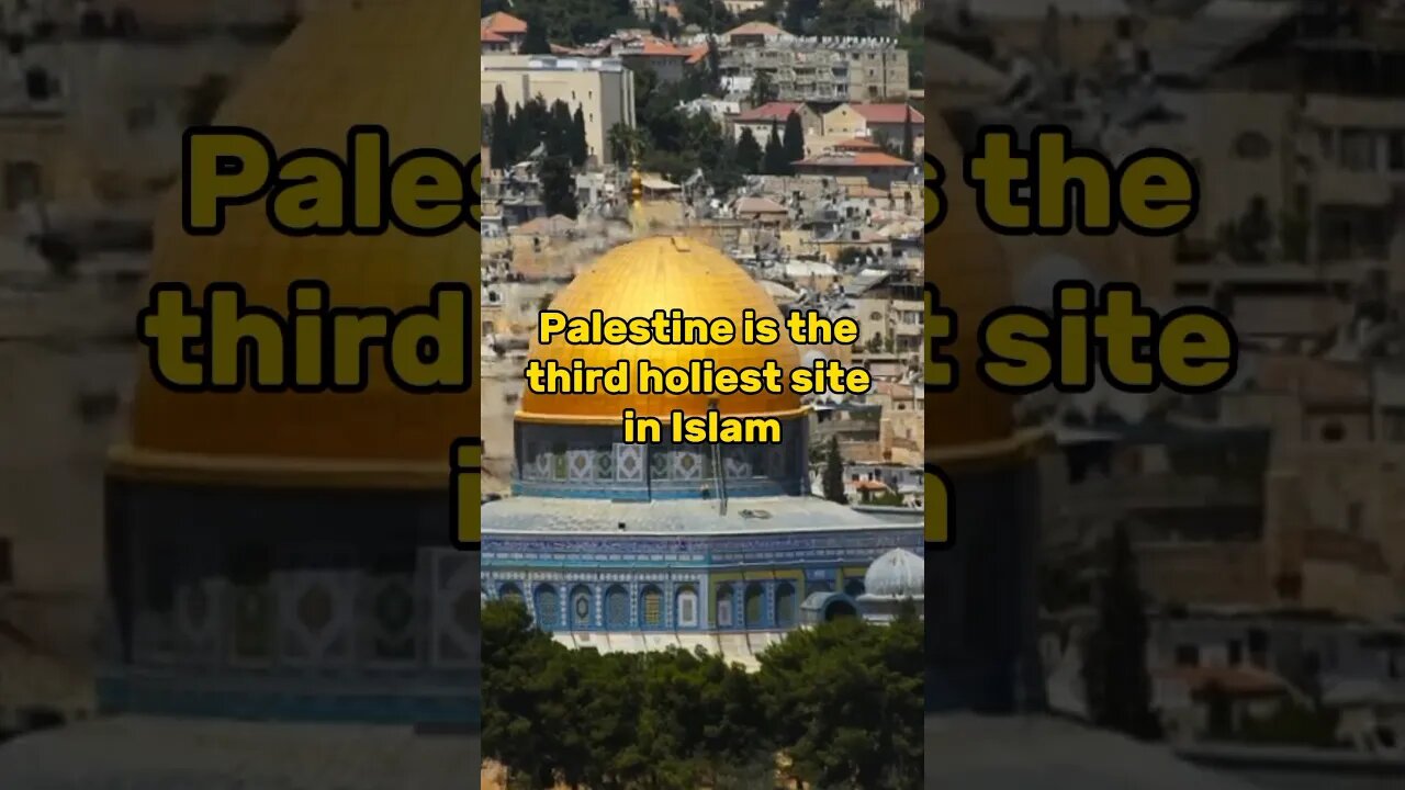 Why muslim love the land of palestine #youtubeshorts #islamicvideo #palestine #israel