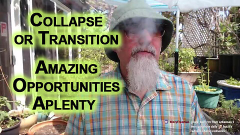Collapse or Transition: Gen Xers Need to Wake the F Up, Amazing Opportunities Aplenty