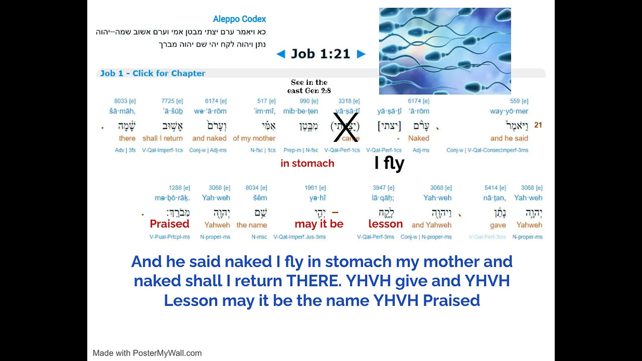 Job 1:21 Proof of Reincarnation aka Resurrection , being REBORN