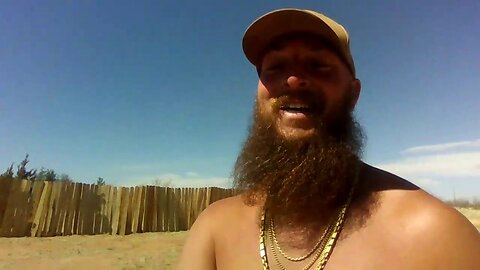 Viewer Request: A Day in the Life