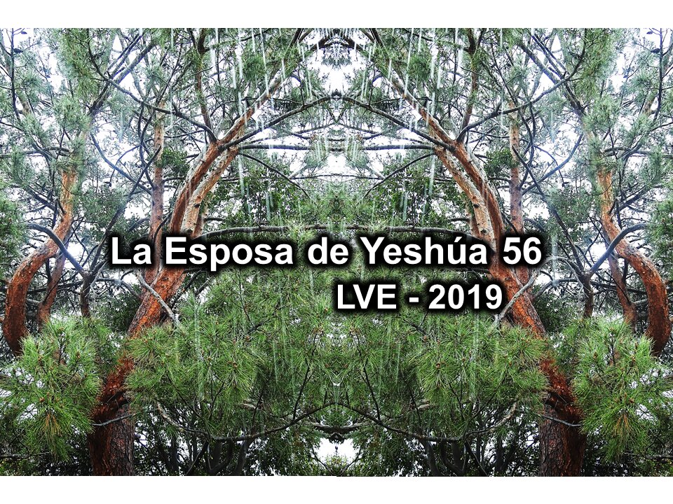 La Esposa de Yeshúa 56 - YHWH Ekjad 35 - Juan 3