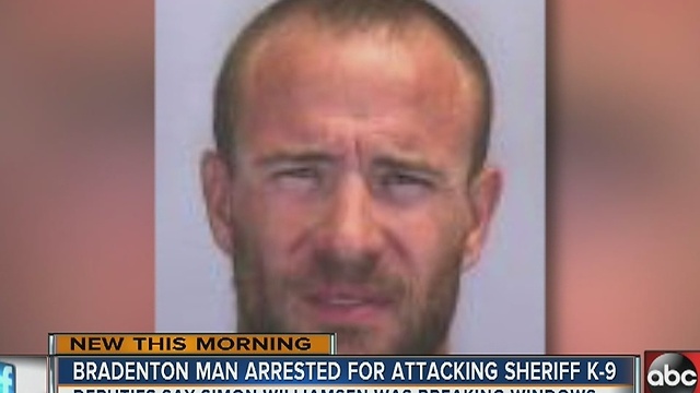 Bradenton man arrested for attacking sheriff K-9