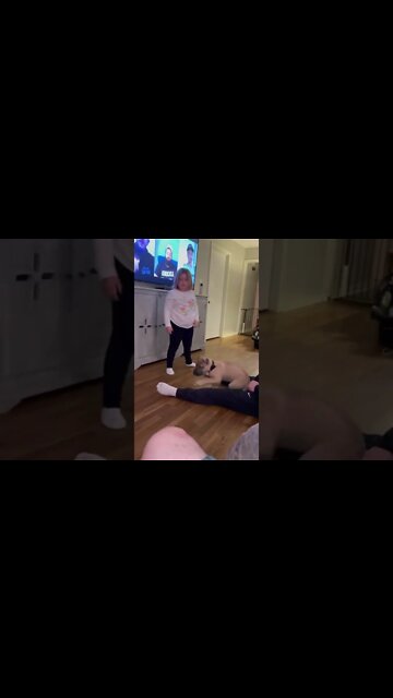 Our keeper male off Cowboy x Machete Breeding.#bandogs #catchdog #protectiondogs #americansentinelk9