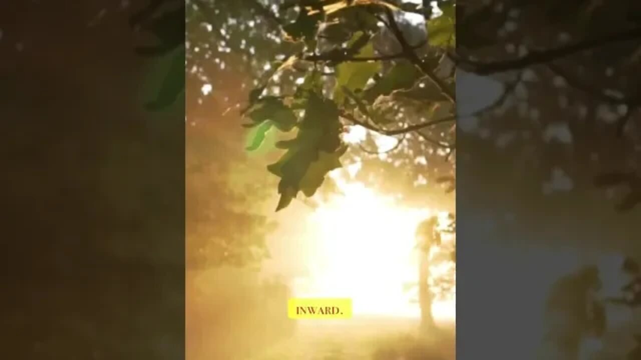 Part 7
