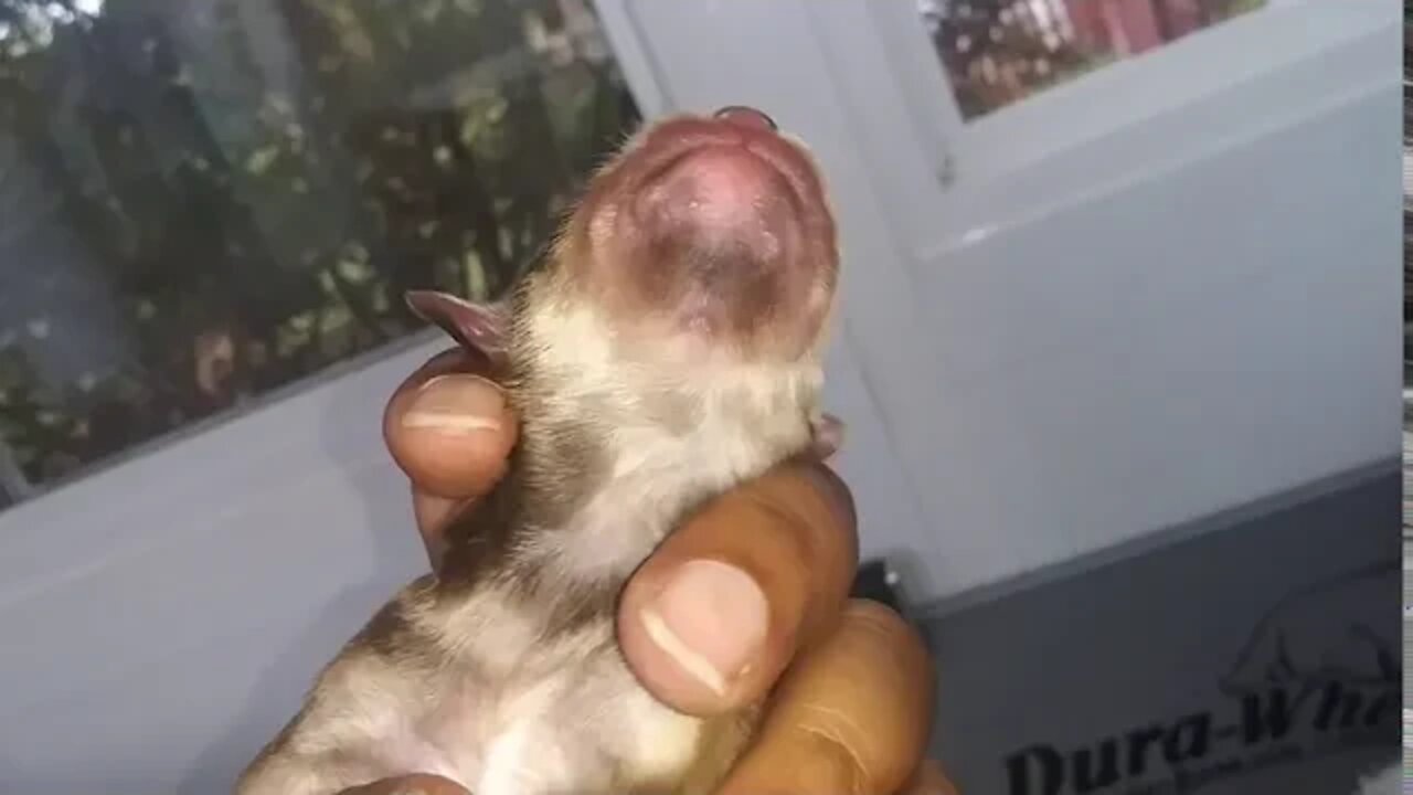 2nd Day-Everyone's Looking Good