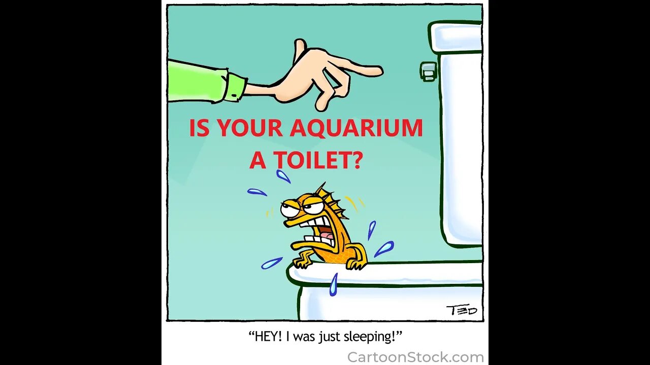 IS YOUR AQUARIUM A TOILET?