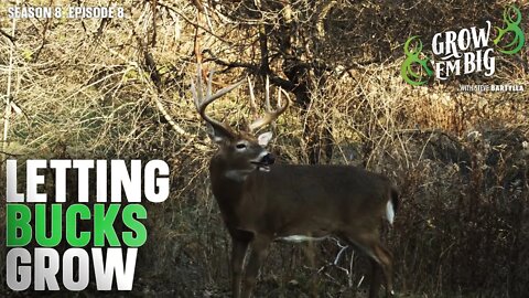 Passing on Bucks: What Happens After
