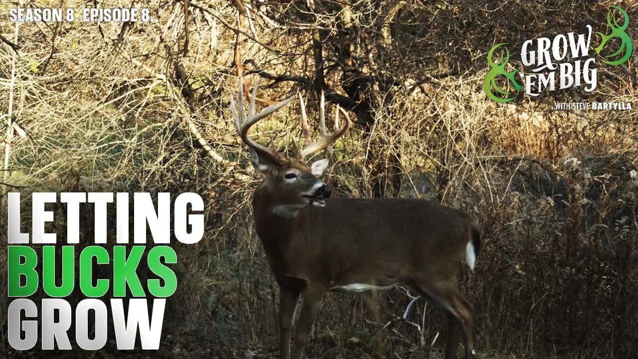 Passing on Bucks: What Happens After