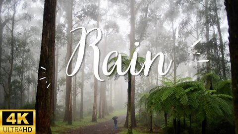Relaxing rain | Meditation music | Stress relief | Fall as sleep | #relaxme