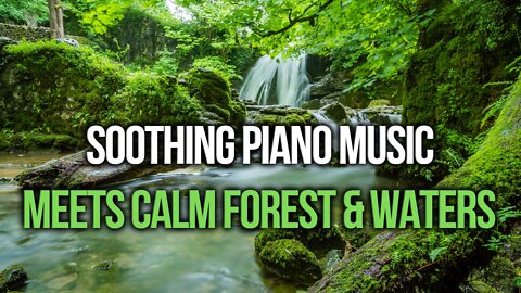 Relaxation Music For Stress Relief And Healing 3 Hrs Peaceful Music For Relaxation