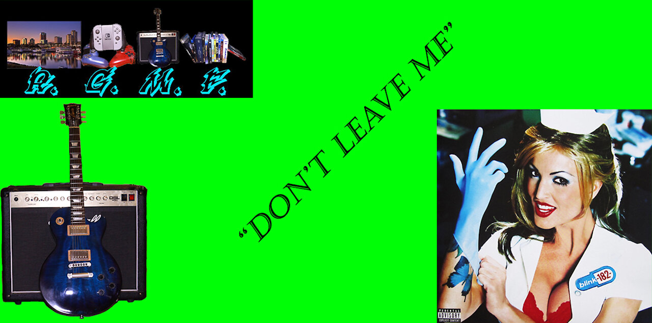 Blink-182 - Don't Leave Me Guitar Cover