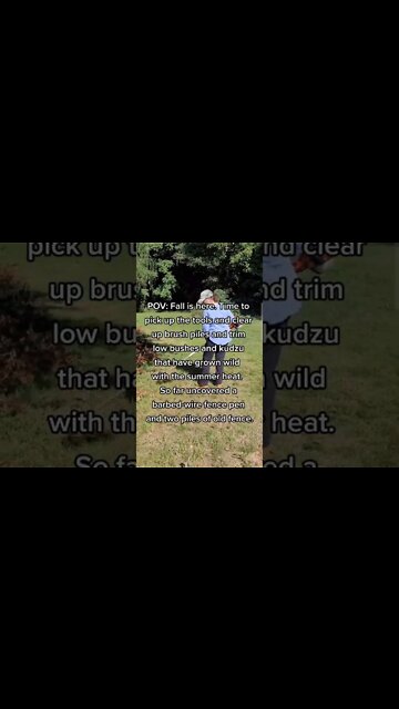 Fall Cleanup is Underway