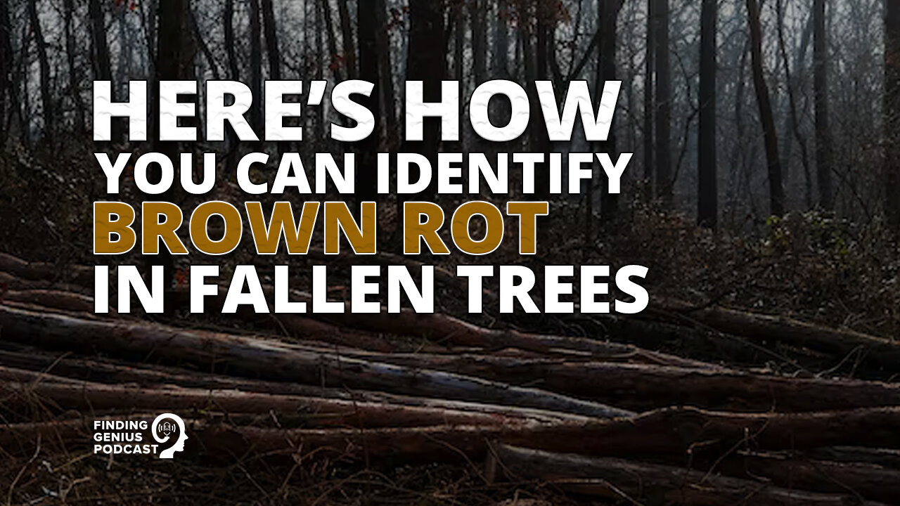 Here’s How You Can Identify Brown Rot in Fallen Trees