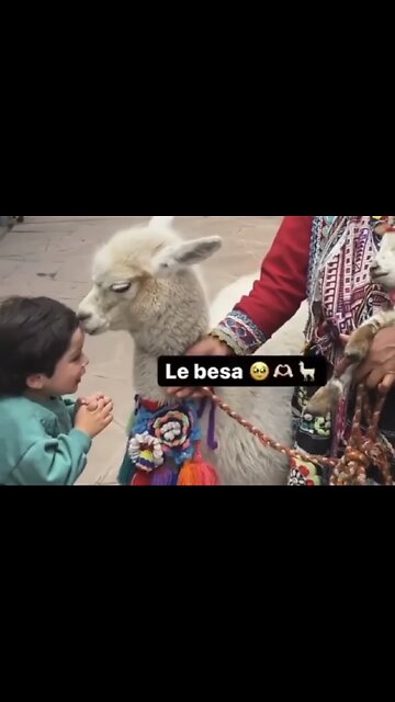 Happiness 😍 😍😍