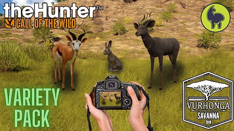 Variety Pack, Vurhonga Savanna | theHunter: Call of the Wild (PS5 4K)