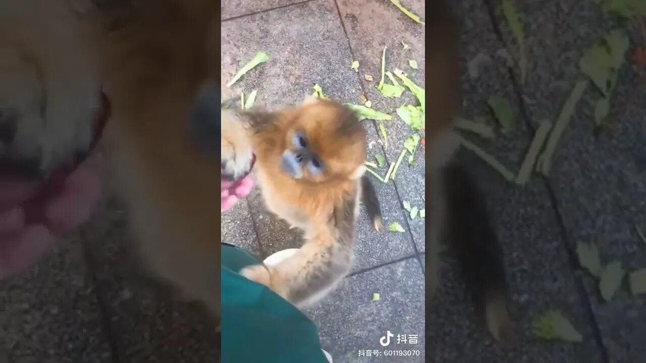 Good children don't fight or steal