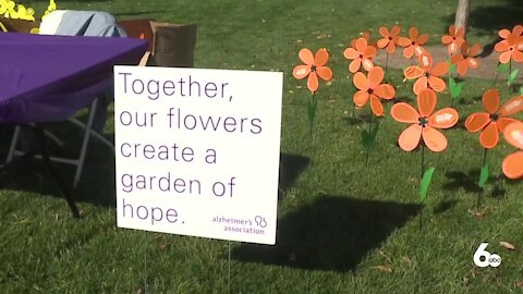 Hundreds join the Walk to End Alzheimer's at Kleiner Park