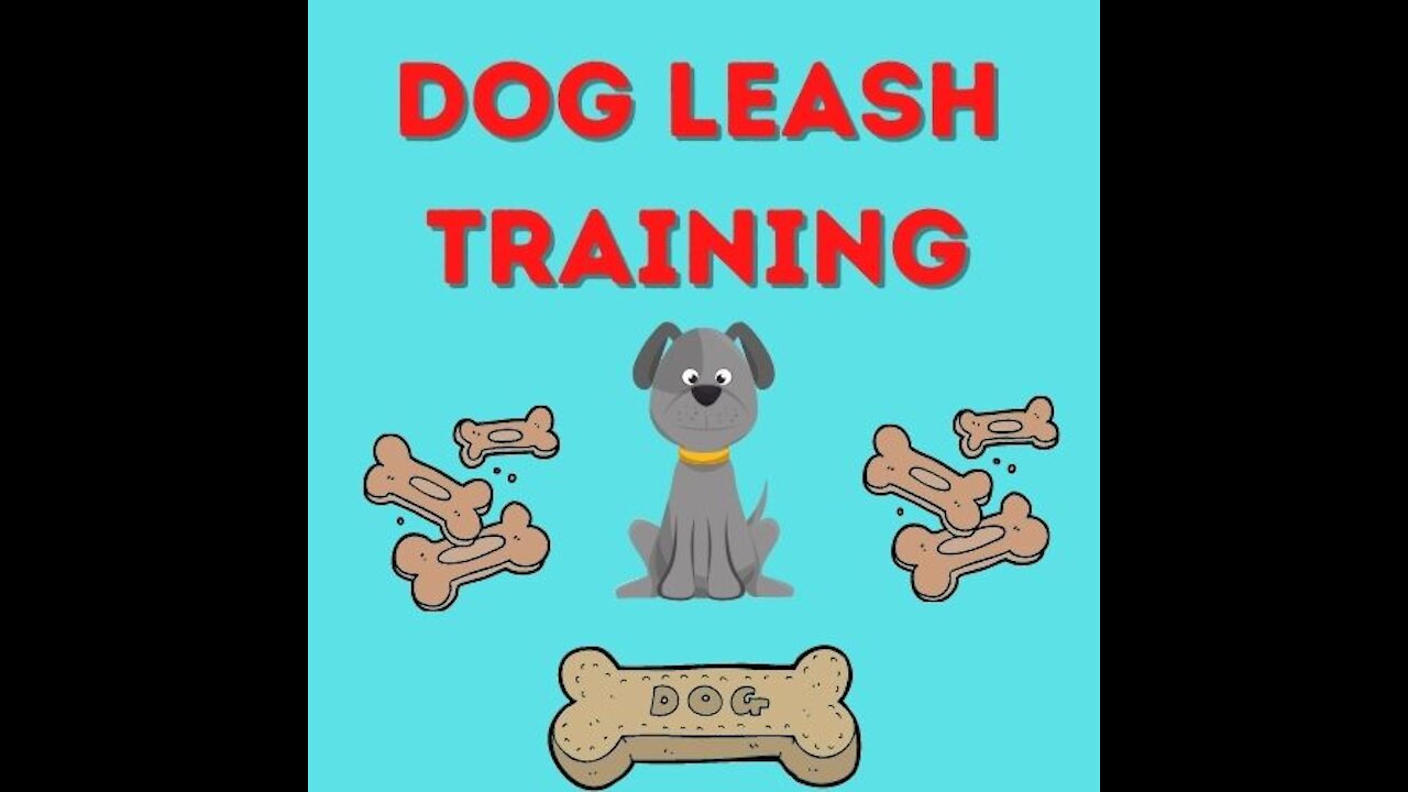 Teach Any Dog To Walk Nice On A Leash | Quick Results!