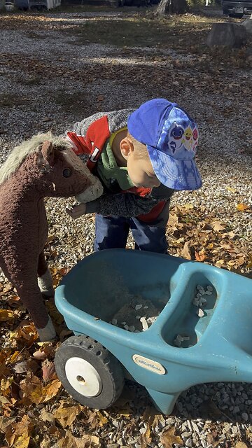 I Think He Wants A Real Horse 🐎 #horse #kids #farm #homestead Chamberlin Family Farms