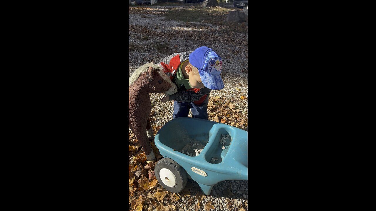 I Think He Wants A Real Horse 🐎 #horse #kids #farm #homestead Chamberlin Family Farms