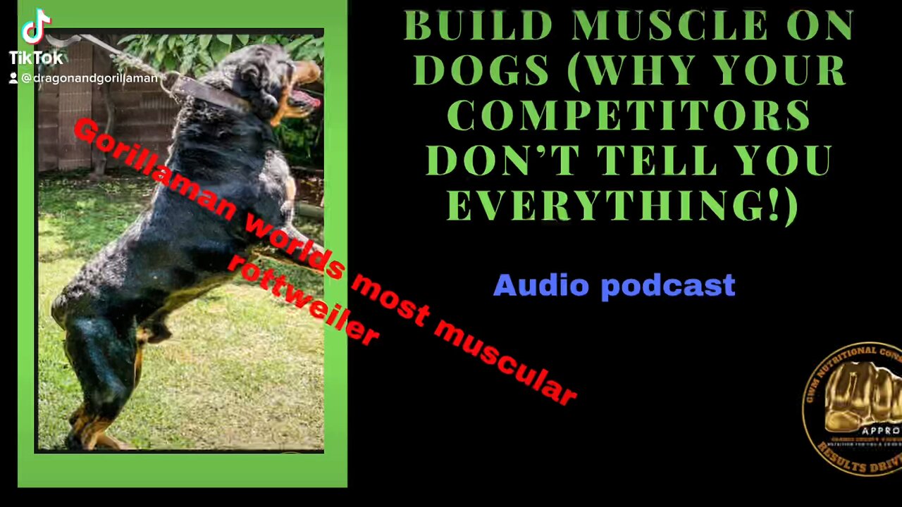 Dog muscle building (what they don’t tell you)