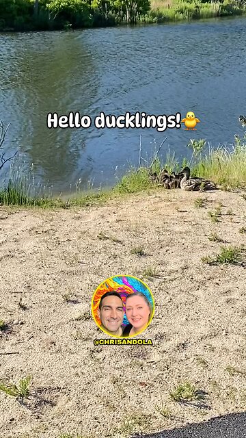 WHO LOVES DUCKLINGS?