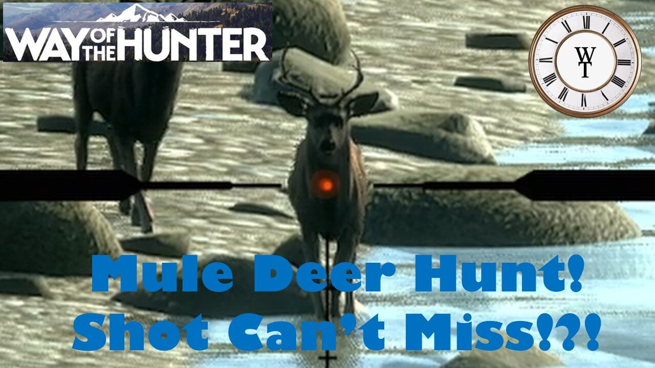 HOW?! The Disappearing Bullet! - Way of the Hunter