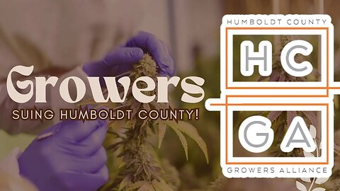 Measure A Proponents Deceived Public on Humboldt Cannabis Initiative