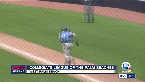 Collegiate League Of The Palm Beaches