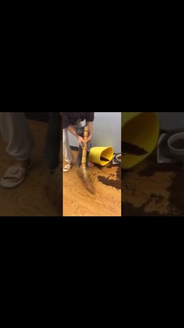 He needs to take responsibility of his mistakes