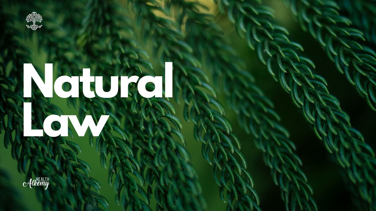 Health Alkemy Natural Law Sacred Masculine Feminine Versus Toxic Forms March 14 2023