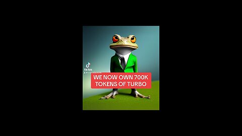 WE NOW OWN 700K TOKENS OF TURBO