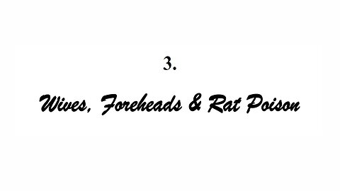 Scuds, Duds & Tyre by Joseph Wouk - Ch 3 - Wives, Foreheads & Rat Poison