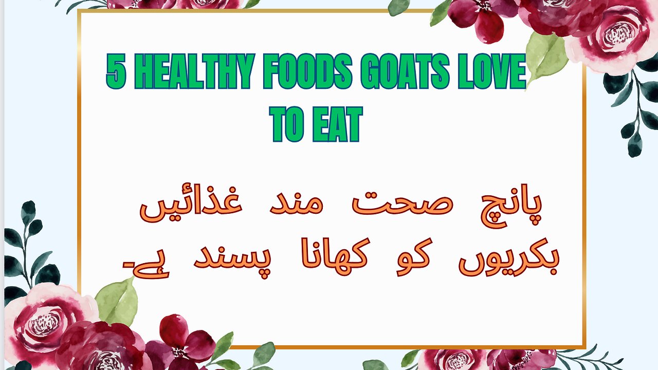 5 Healthy Foods Goats Love to Eat