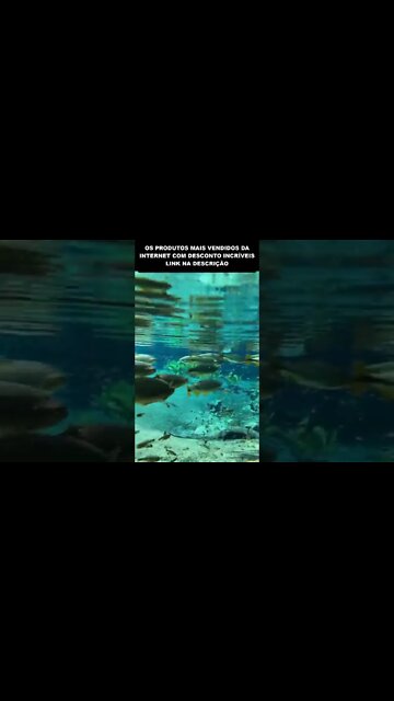 olha a transparência da água desse lago