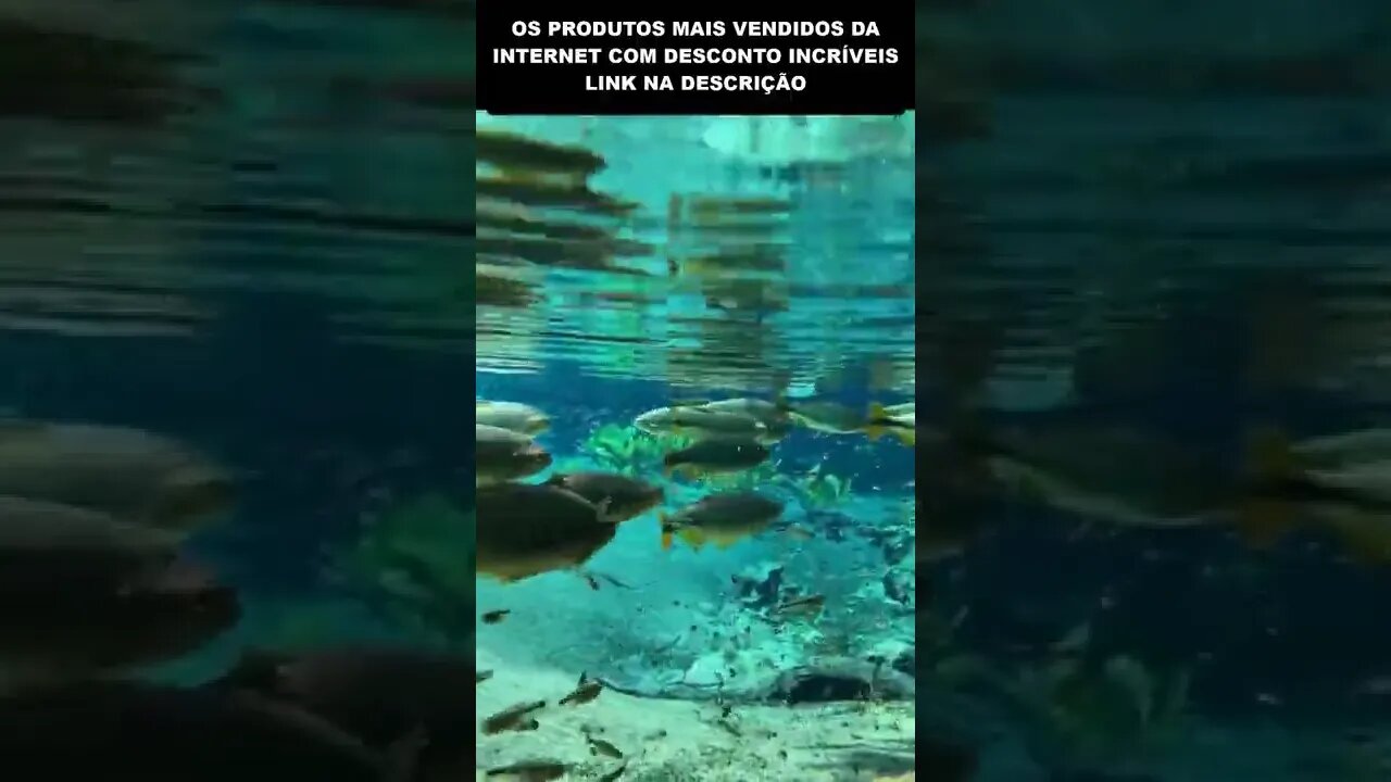 olha a transparência da água desse lago