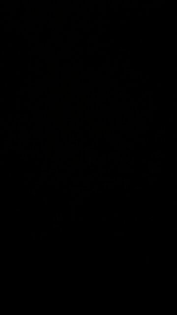 I love the United States 🇺🇸