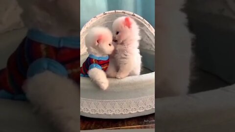 Cute couple ☺️